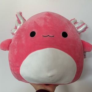 Archie the Axolotl - Squishmallow - BNWT